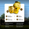 A2 Buffalo Bilona Desi Ghee 200ML
